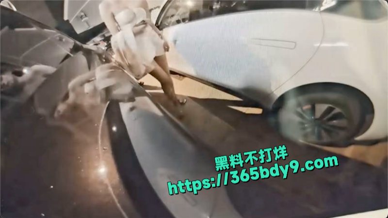 美女怎么这么喜欢到车边上撒尿啊5