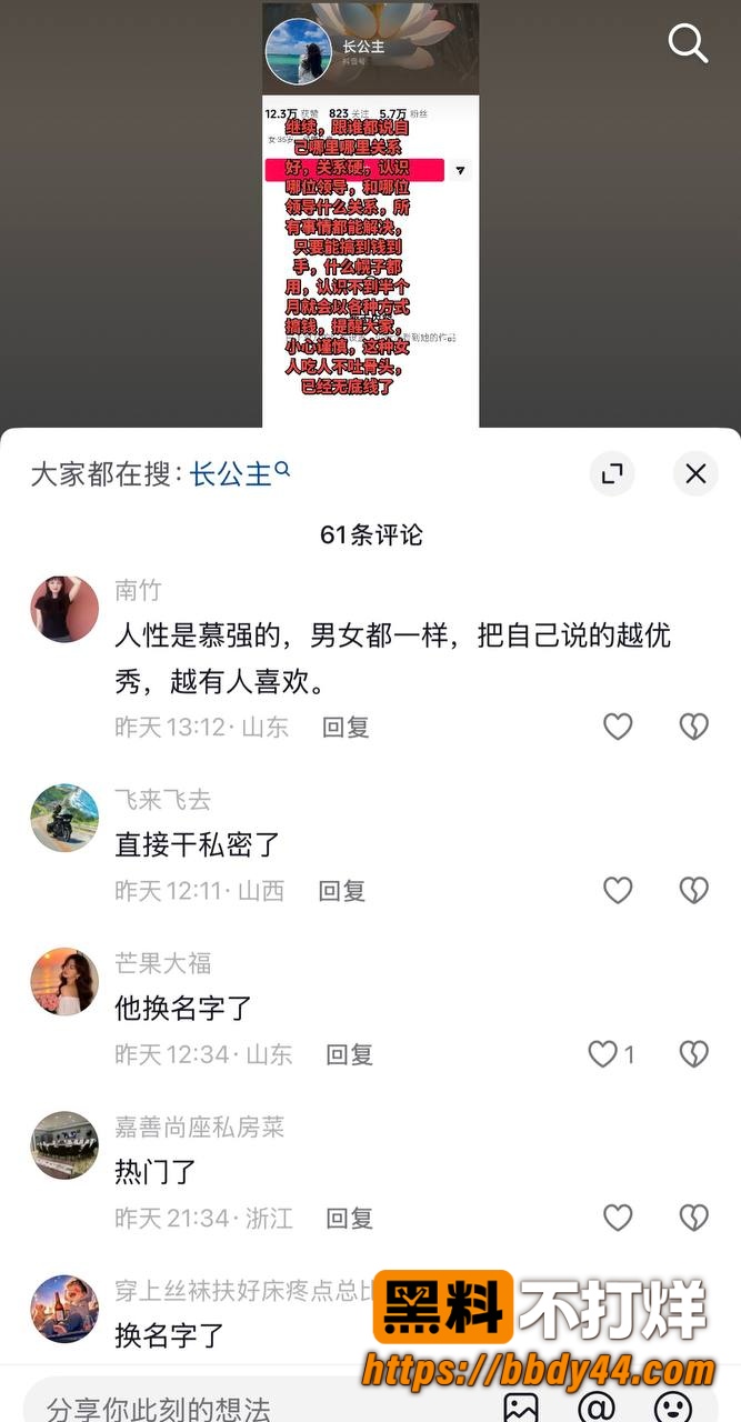 长公主9