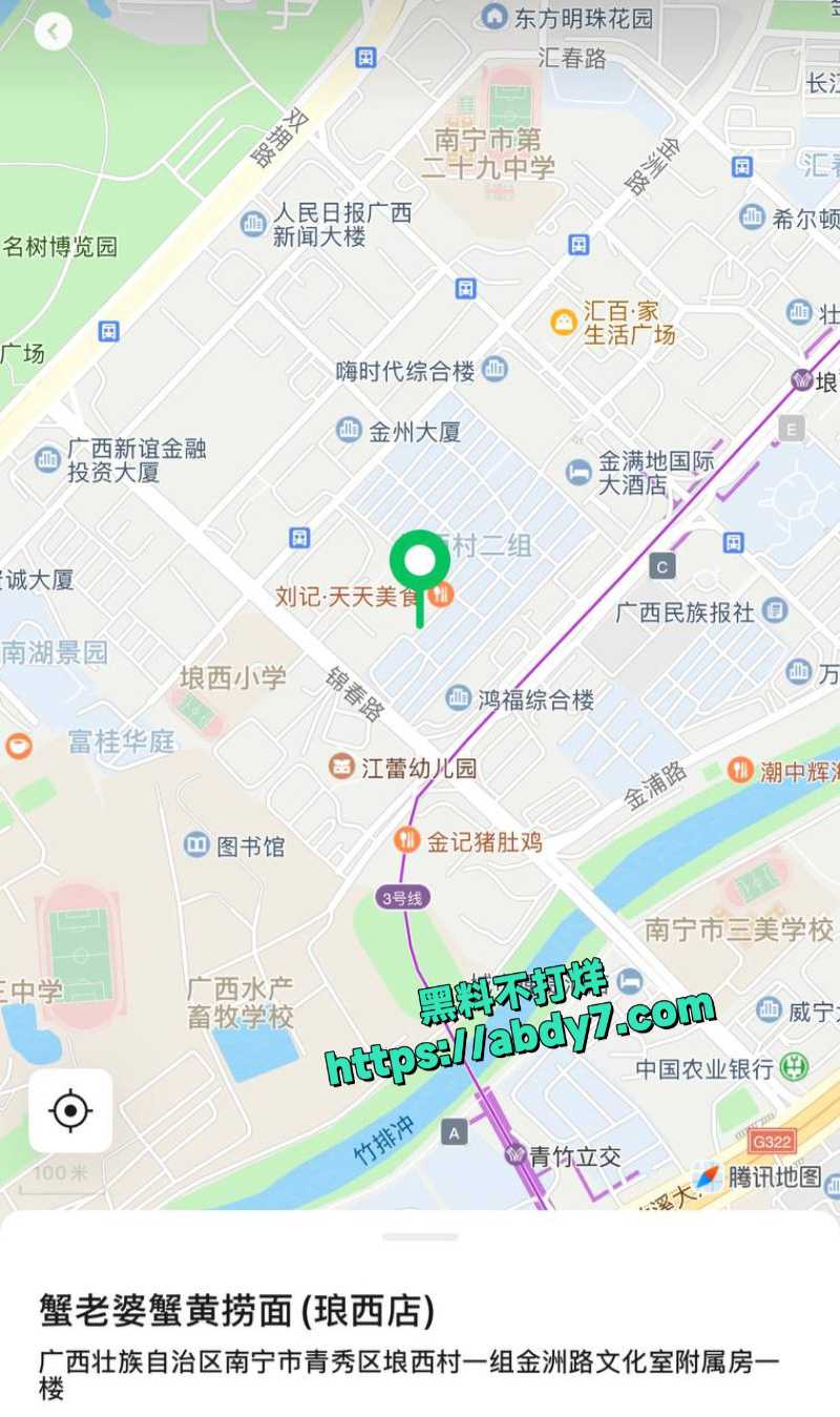 广西南宁惊现最美站街女 4