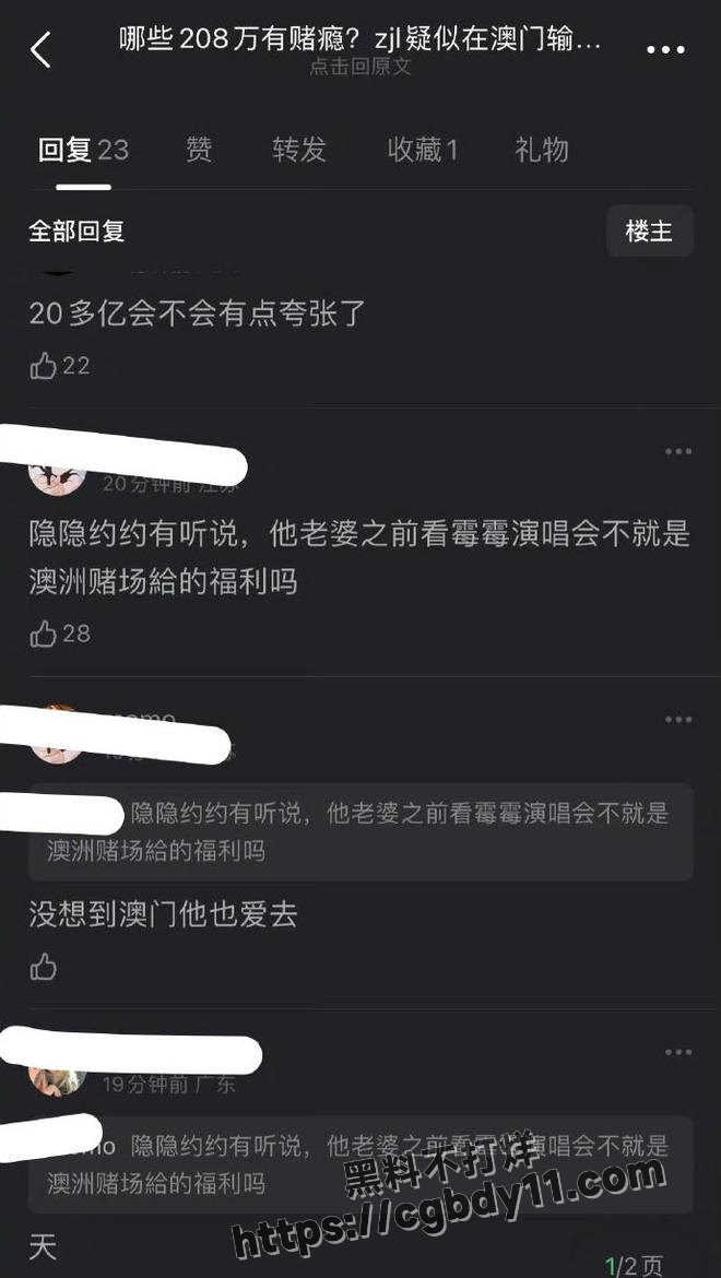 超一线明星输光10亿家产13.jpg