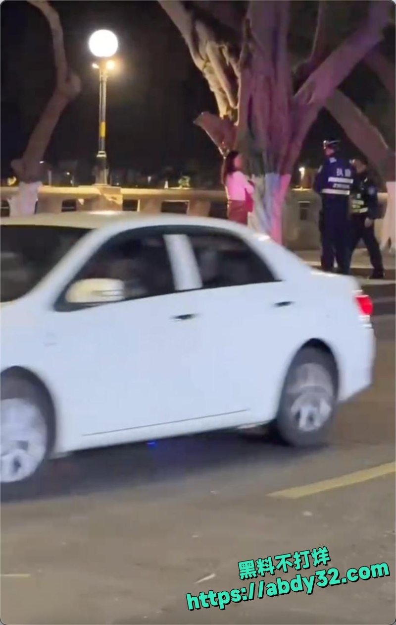 深夜街头猥亵事件频发 6
