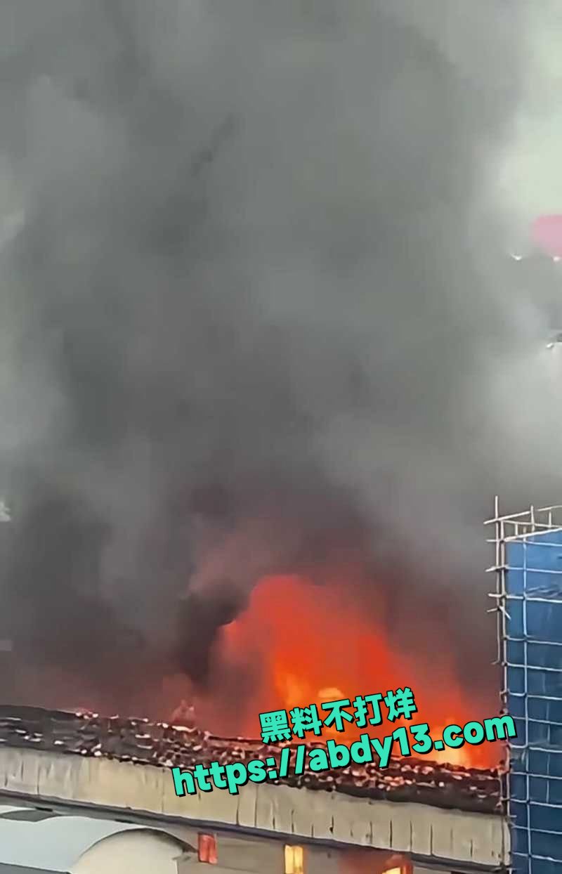 成都八里庄地铁站口突发大火1