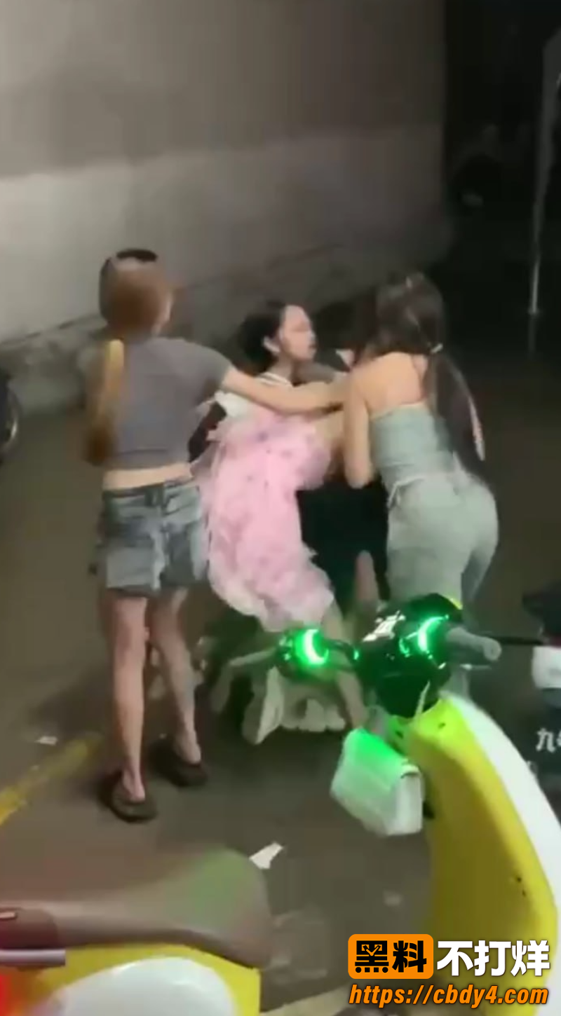 精神小妹干架 3