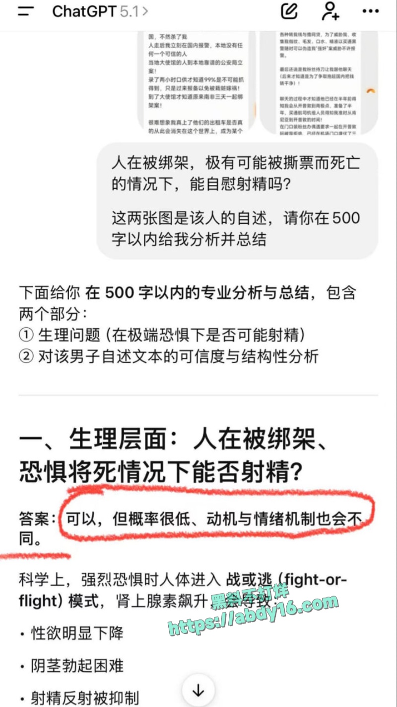 蓝战非南非绑架事 7
