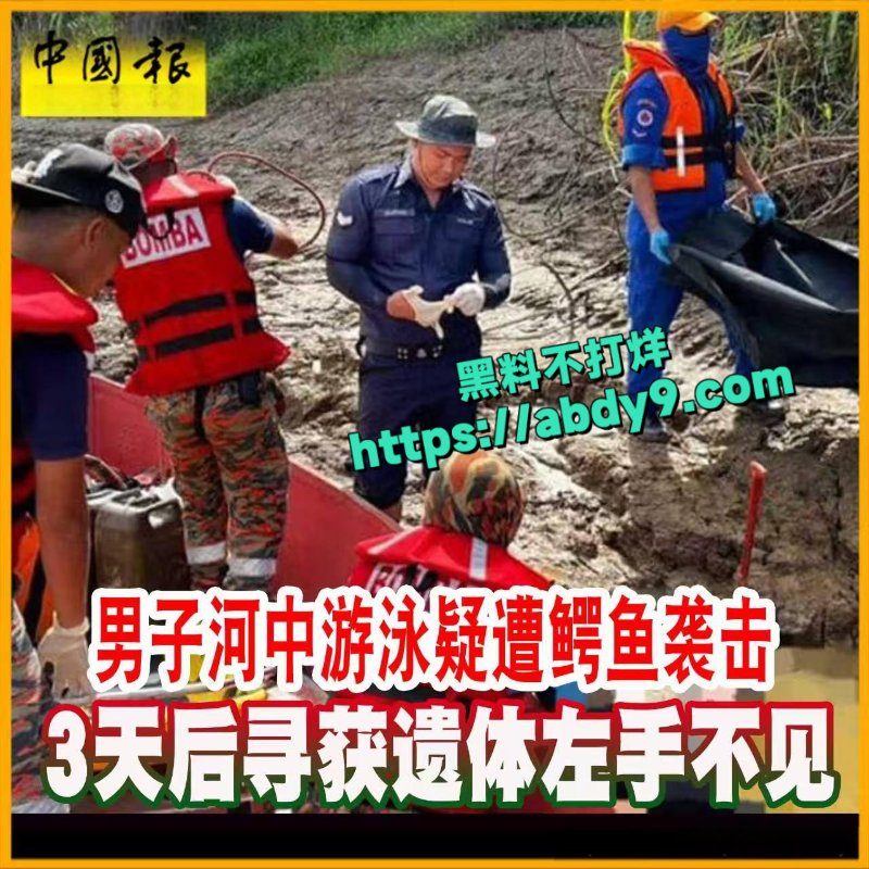 男子河中游泳惊遇鳄鱼袭击