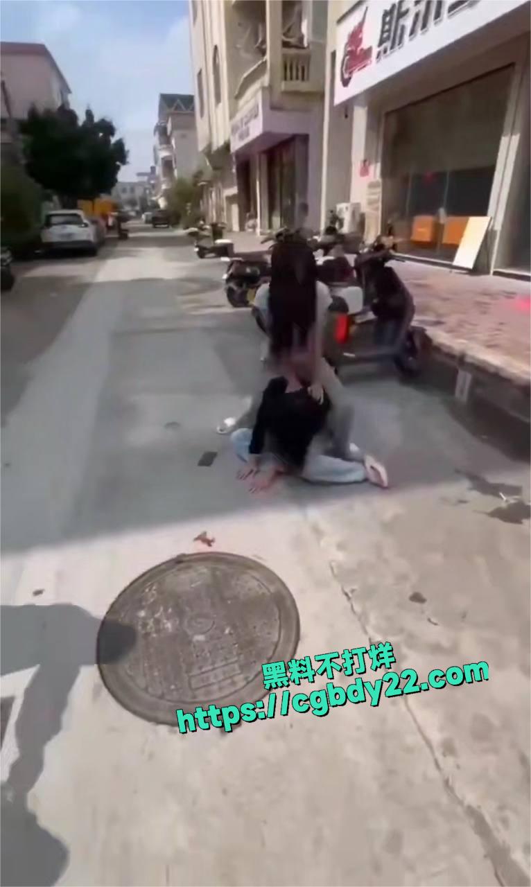长发美女街头暴打小三4