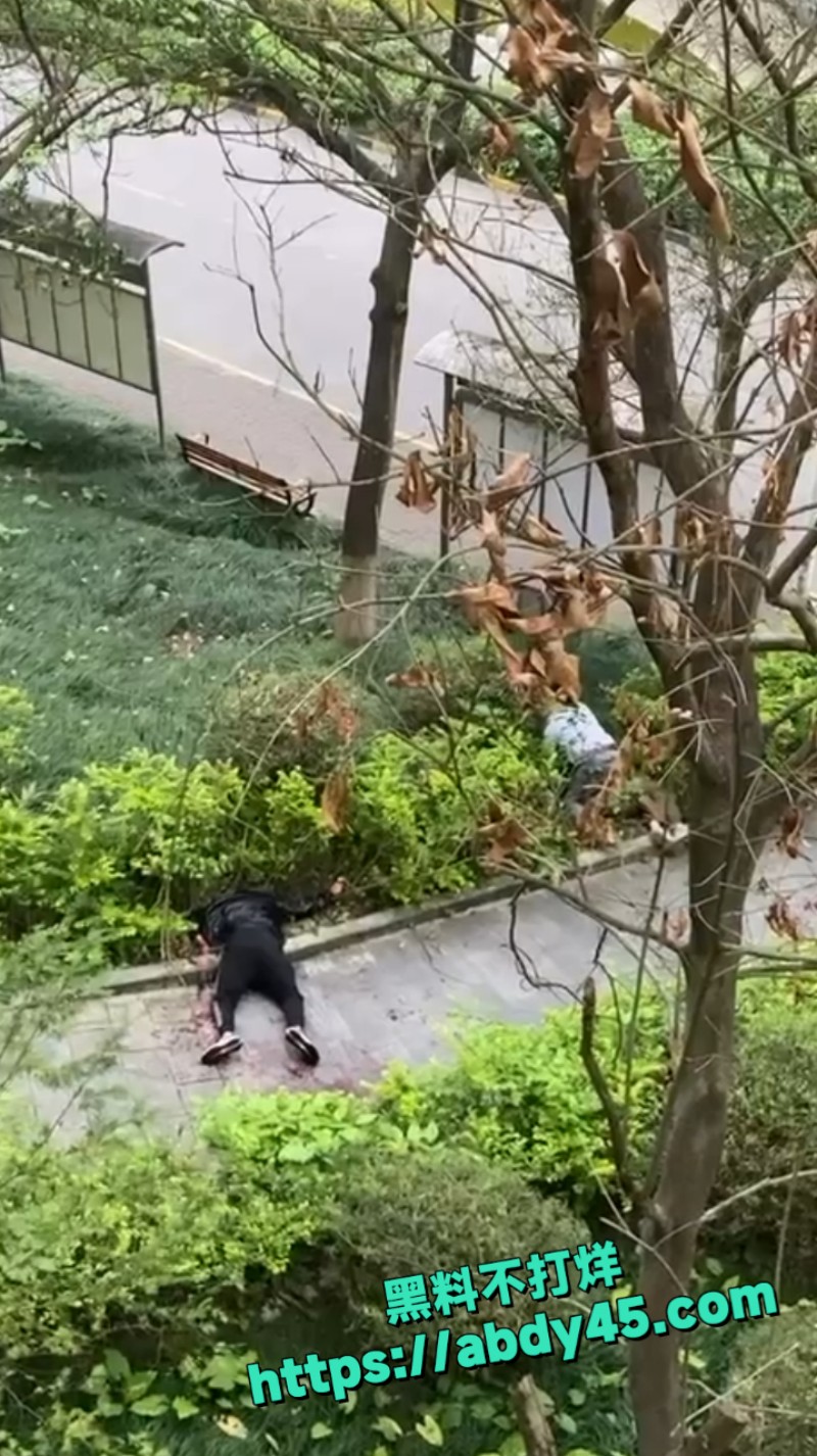 南宁一住宅小区 1