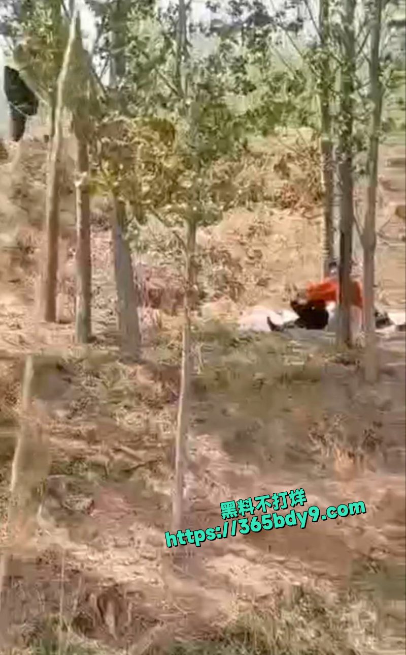 同性恋野战被拍3
