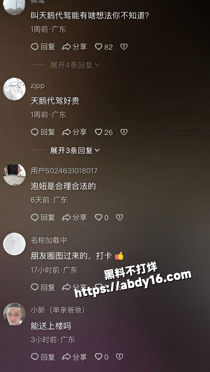 天鹅代驾 代驾我只选天鹅驾到10
