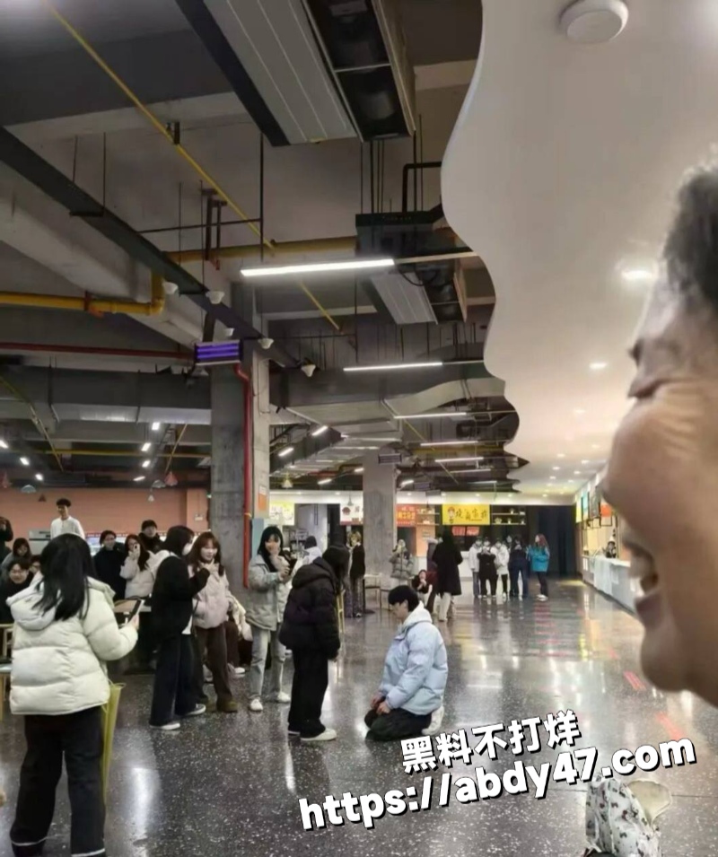 河科大食堂惊现渣男下跪7
