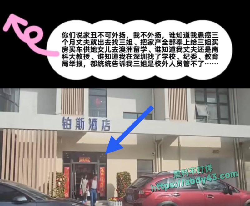 南科大教授徐景平包养小三13