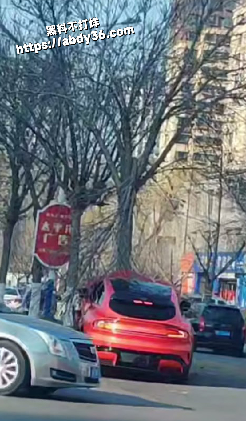 聊城阳谷新区 小米 YU7.jpg2