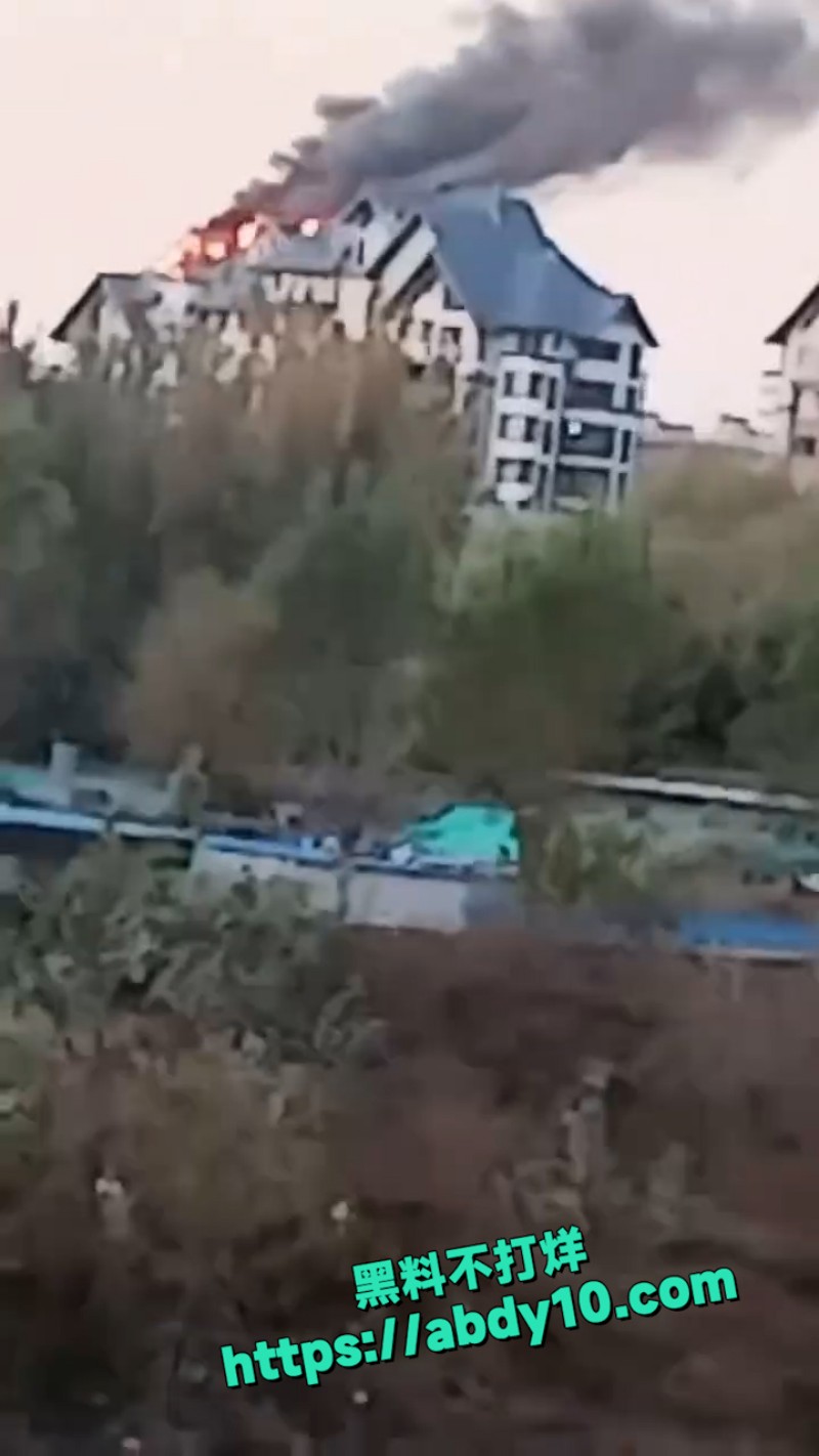 河北廊坊 鸿坤理想 4