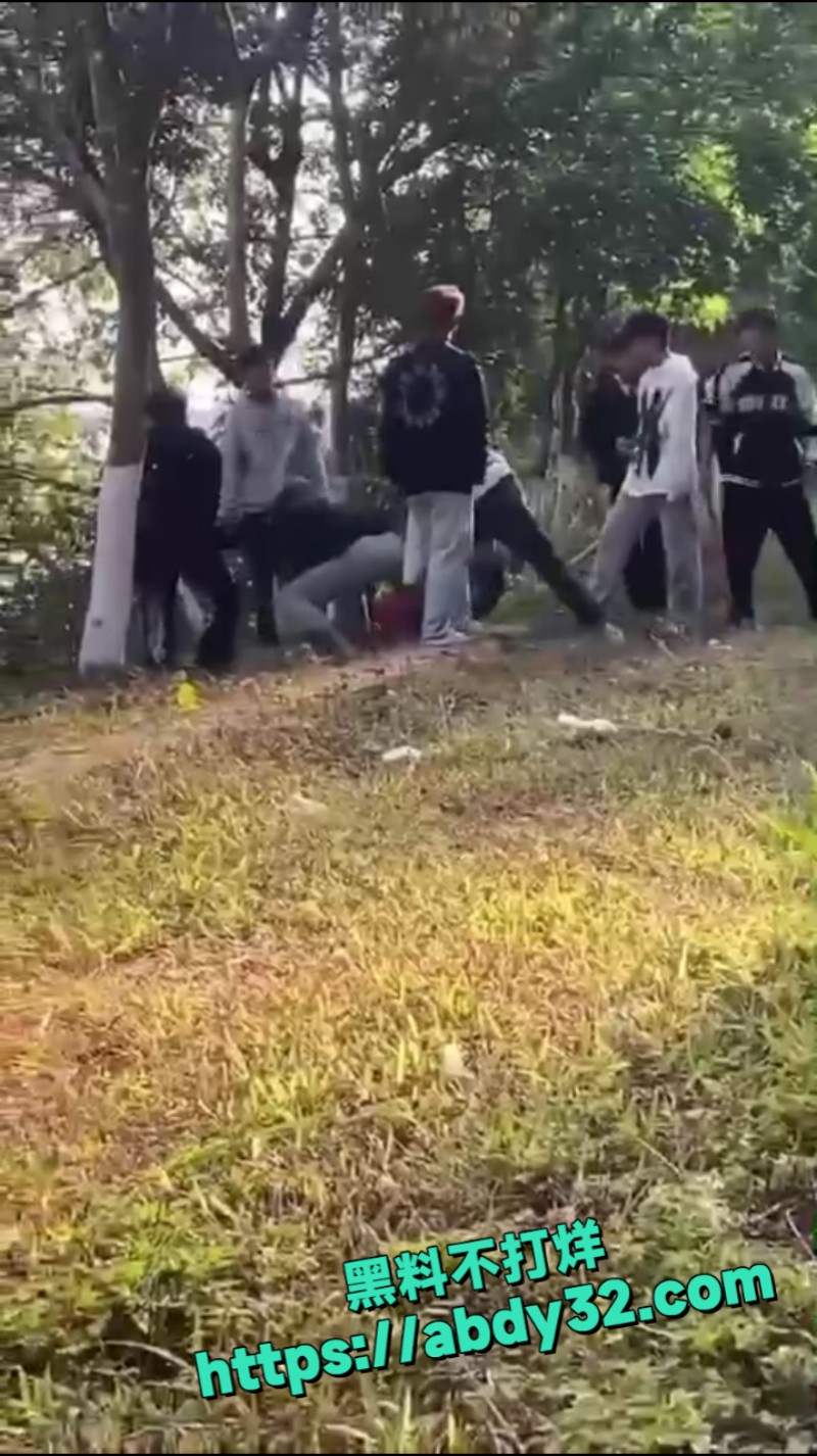 精神小伙团架霸凌 5