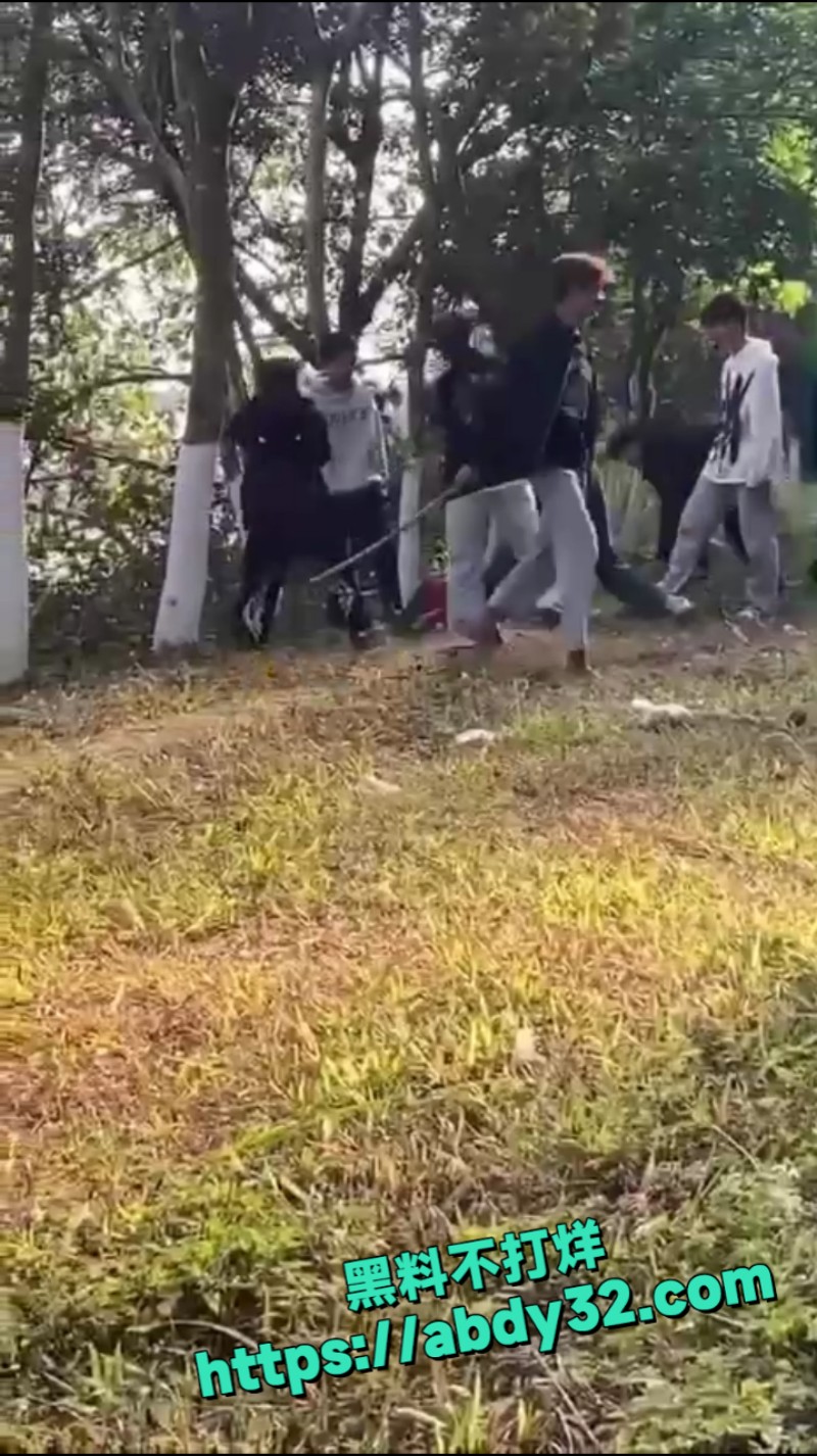 精神小伙团架霸凌 6
