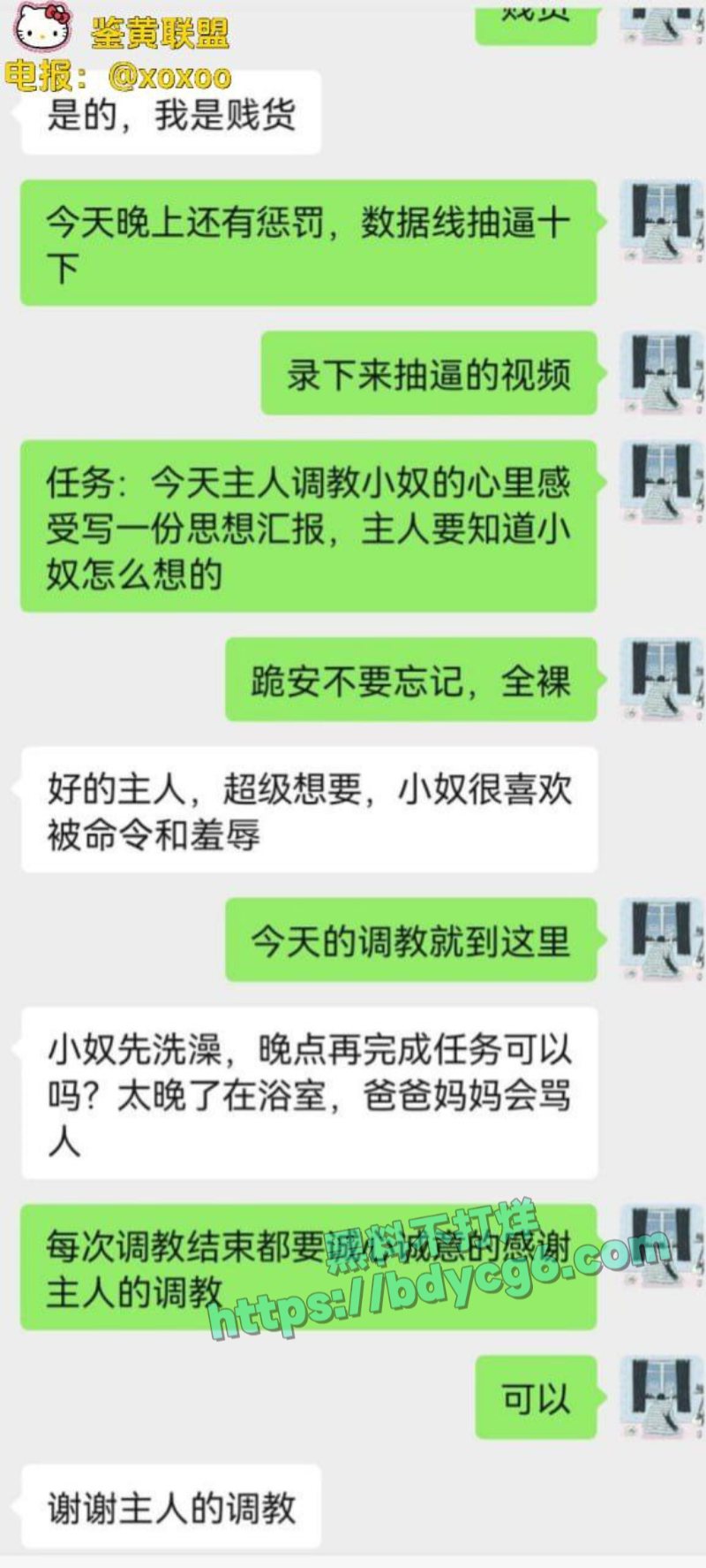 网调极品少女18