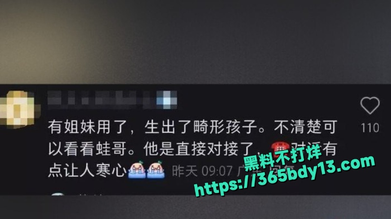 知名电商主播辛巴3