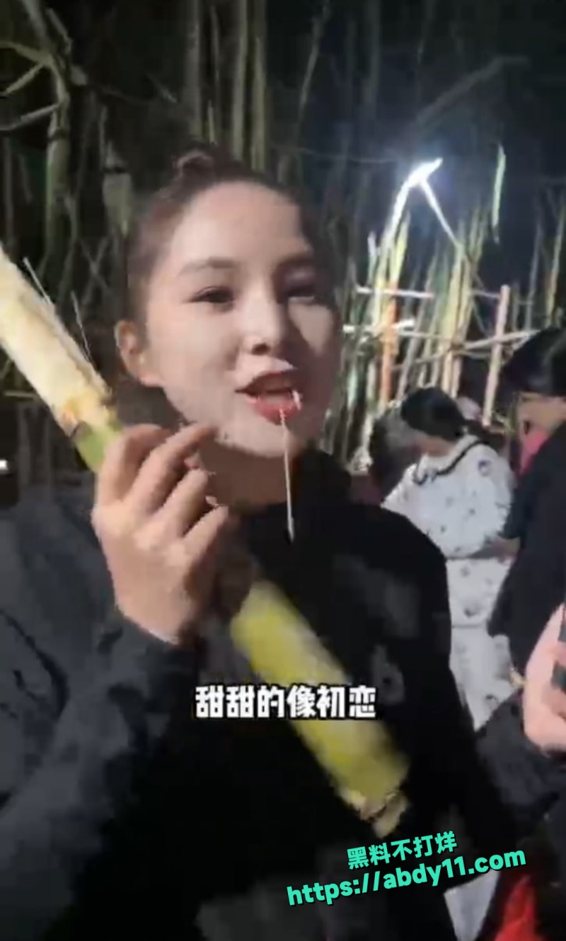 偷甘蔗活动4