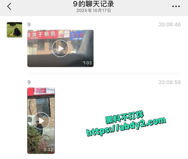 吉林白山万历烧鸽子店骚货老板窗前后入长发美女 1