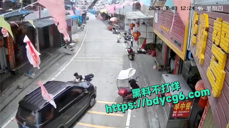 广东鬼火少年翘头头耍酷出事被车主教训1