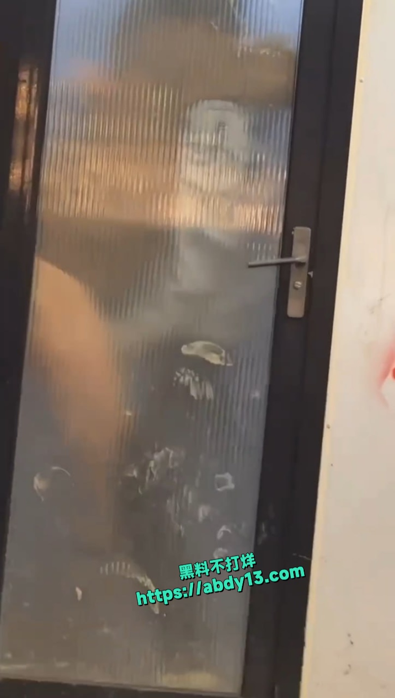 山东烤肉店一情侣在厕所偷情 6