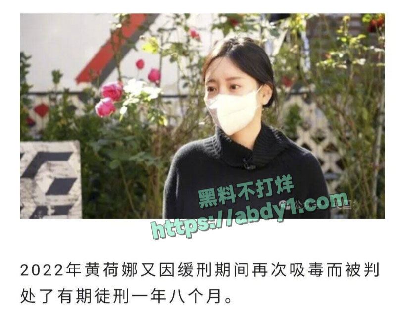 韩国财阀千金黄荷娜再爆丑闻搞电诈被全球通缉 21