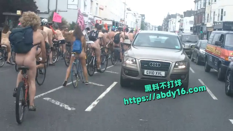 美国世界裸体自行车骑行日 6