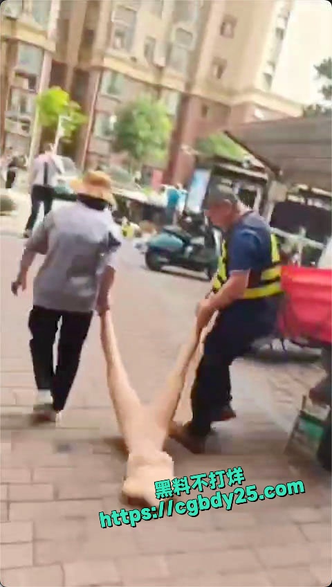 谁的1 1仿真女友跳楼了4
