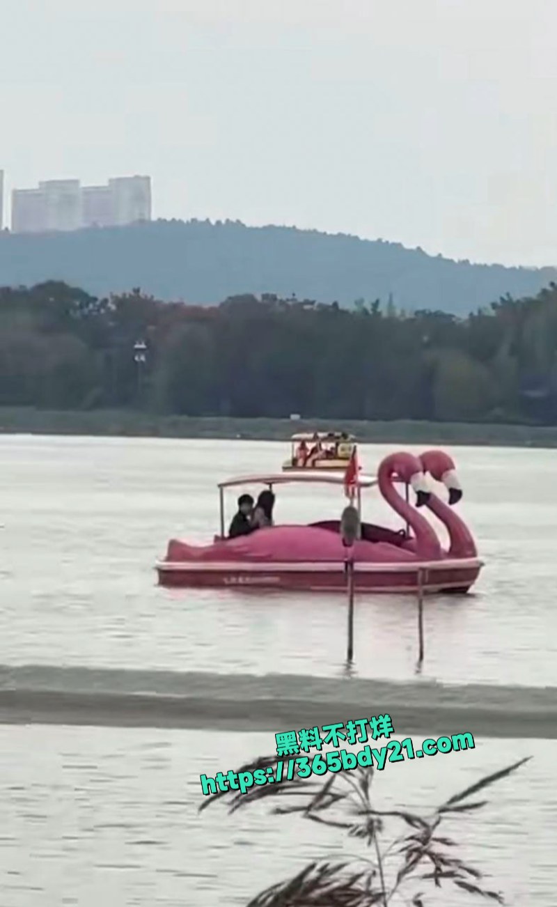 小情侣景区湖中游船上做爱被偷拍 4