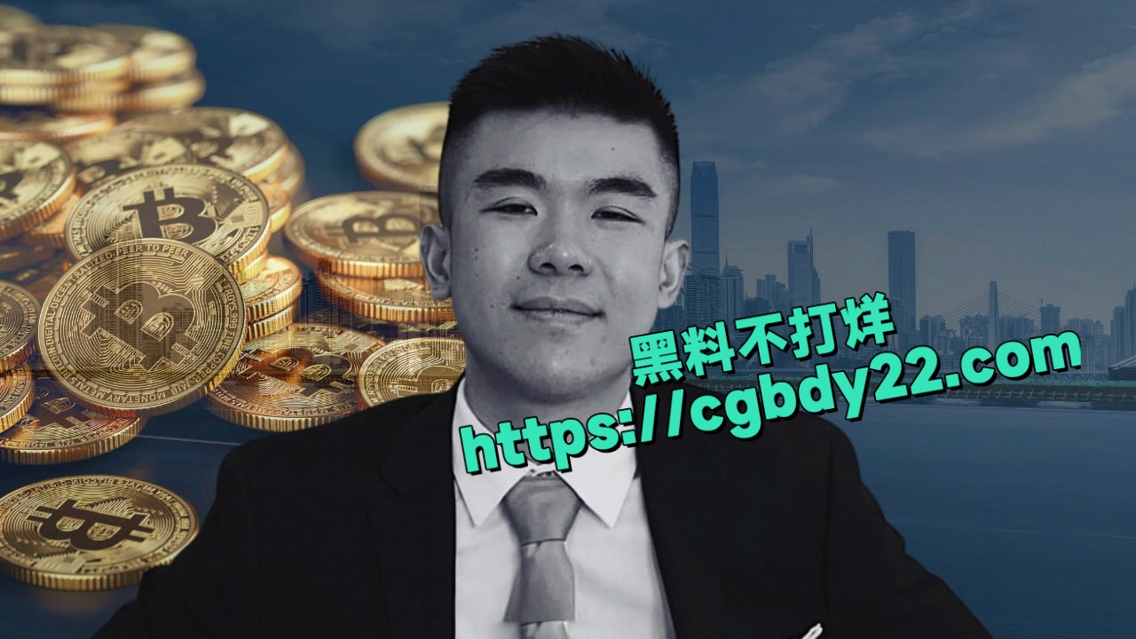 Zerebro加密货币代币创始人 Jeffy Yu  直播饮弹自尽3