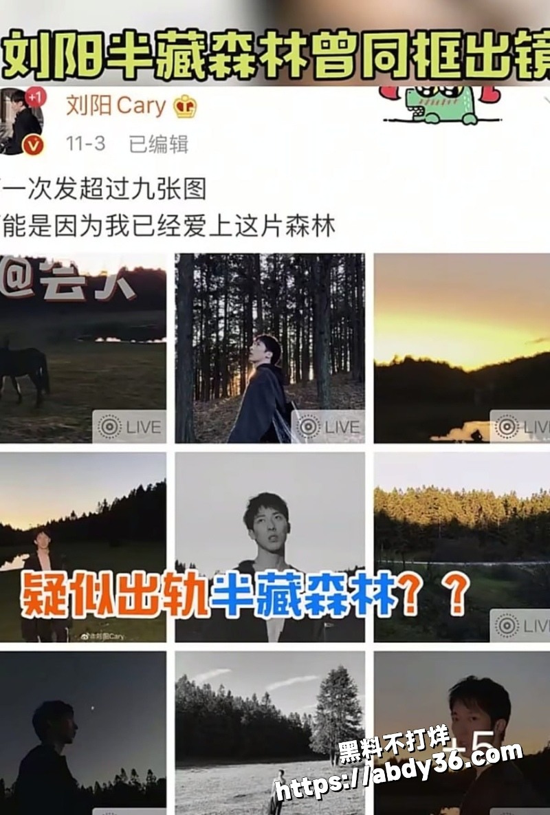 阿沁直播谈起实锤刘阳出轨13