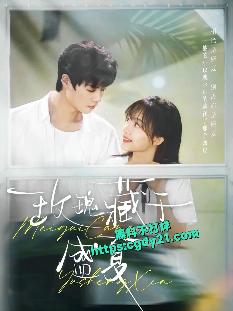 玫瑰藏于盛夏4