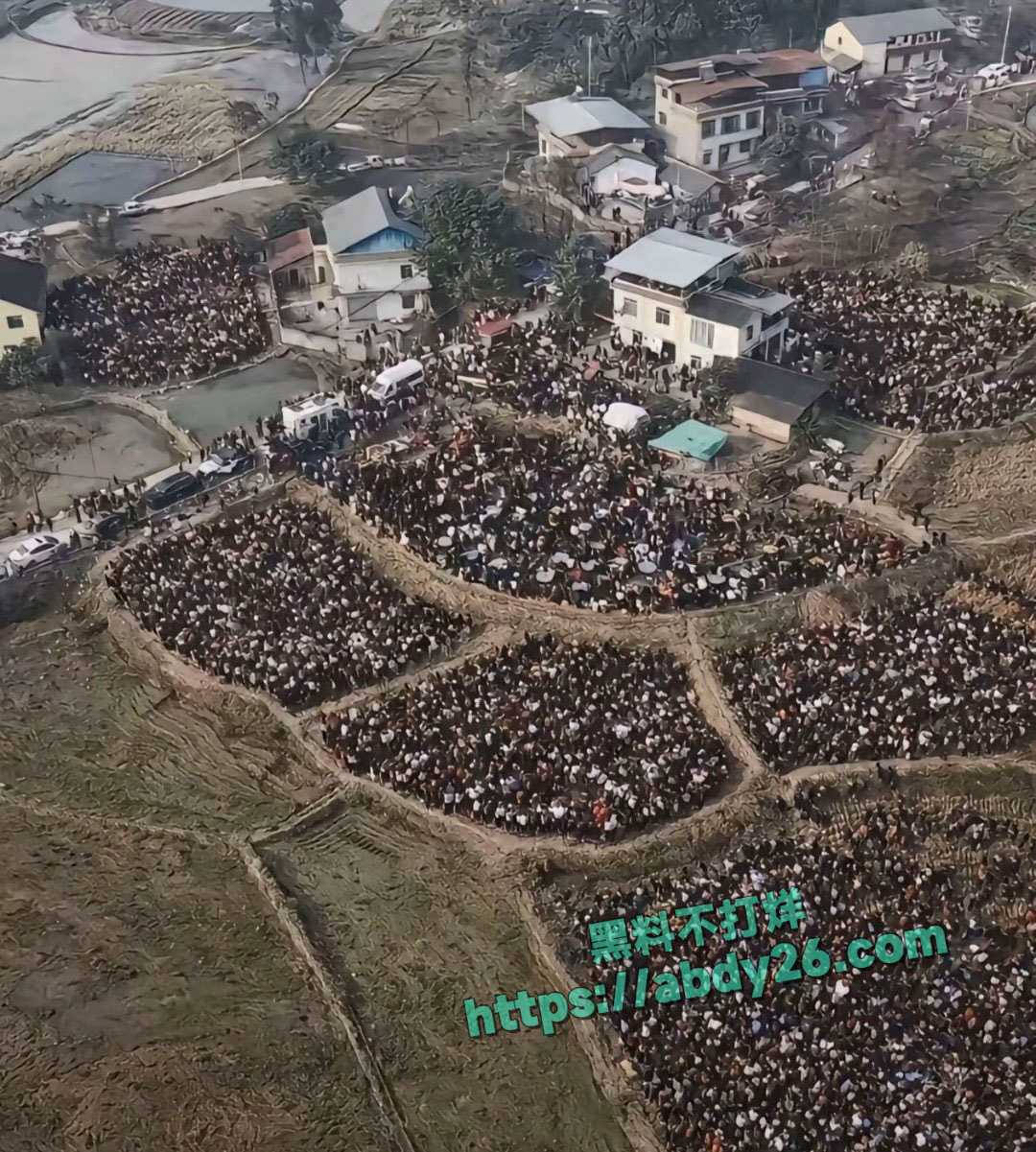 重庆合川呆呆杀猪事件燃爆网络 13