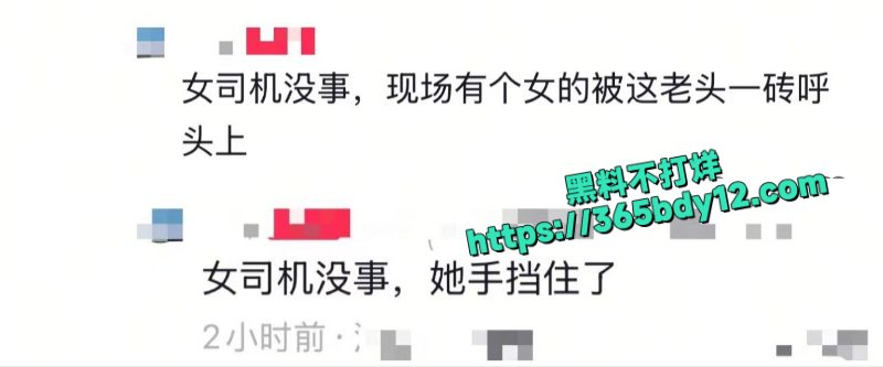 河北邯郸老头大人 1