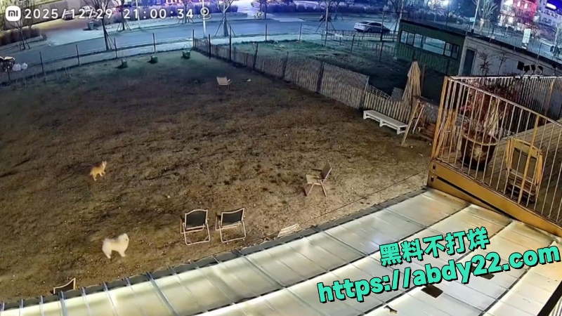 信阳晚9点巨响事件7