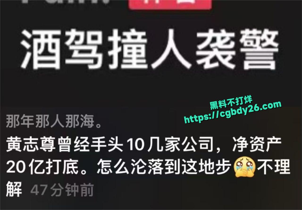 酒驾撞人5