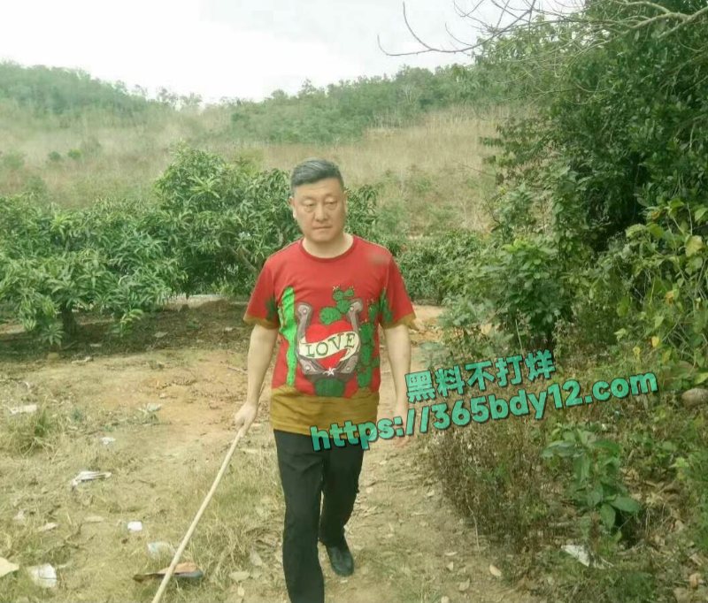 韩磊出轨至女网友怀孕26