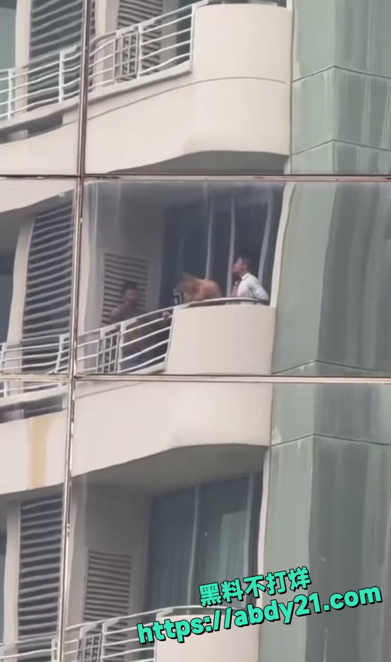 健身教练完成主人任务3