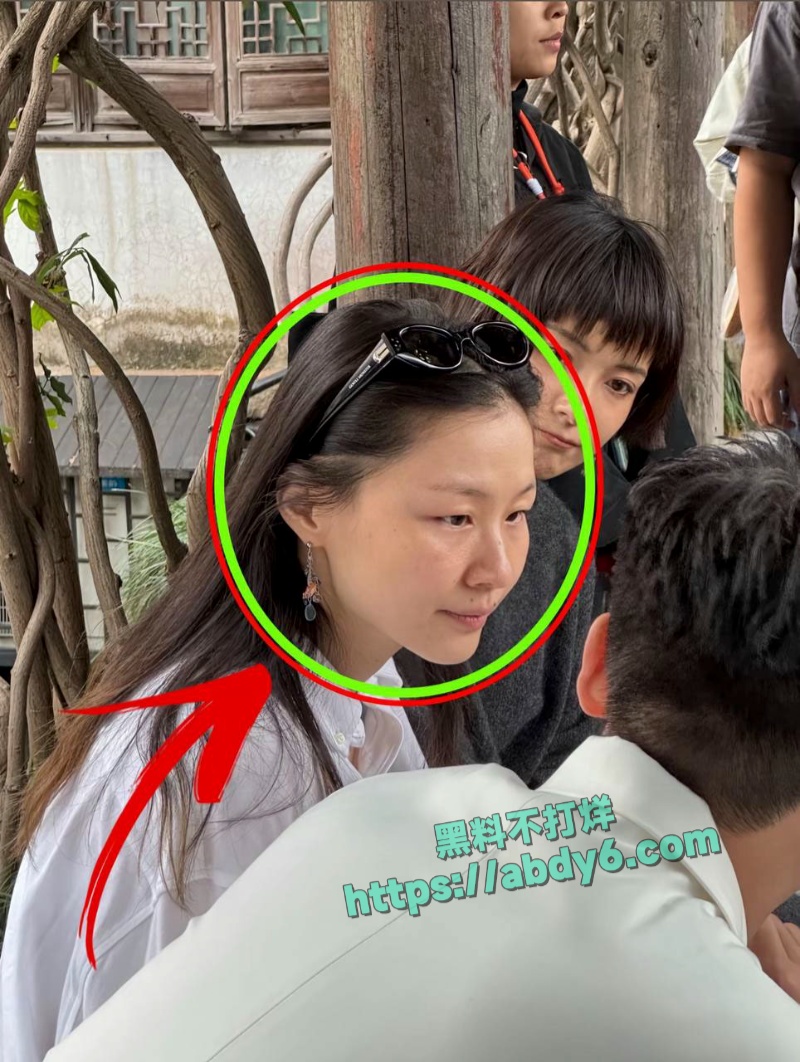 中国影视编剧古二爆王家卫秦雯录音 21