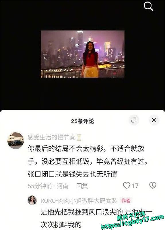 RORO·肉肉小姐微胖大码女装4