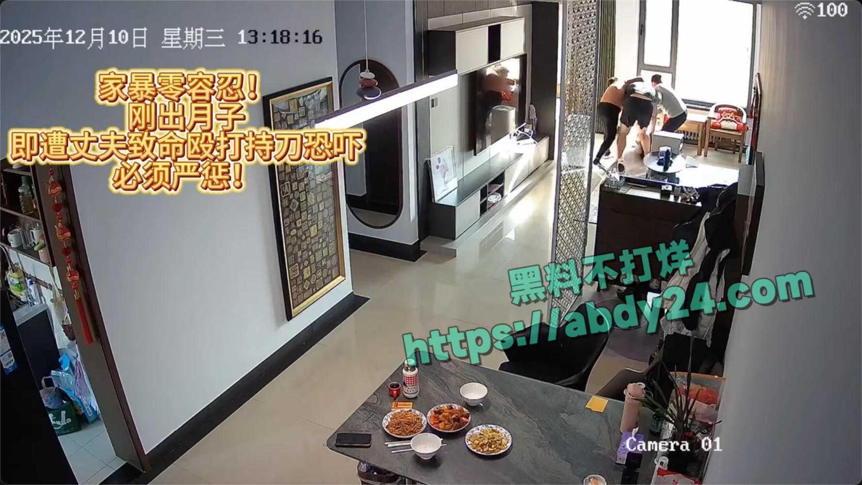 河北张家口王立婷被家暴昏厥 10