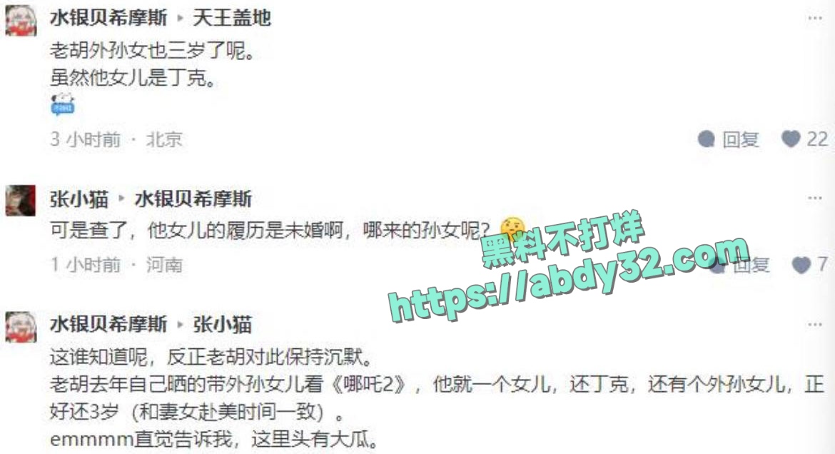 环球总编胡锡进女儿胡维佳国外开淫趴 10