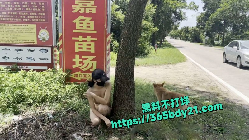 天花板级露出狂人御姐cikaimoon最新付费定制资源  2