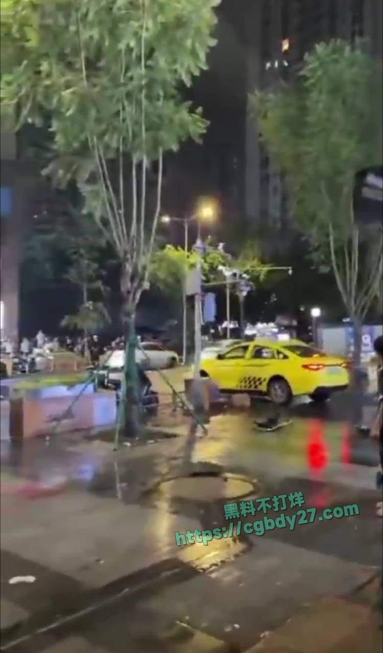 重庆出租车撞人事件 9
