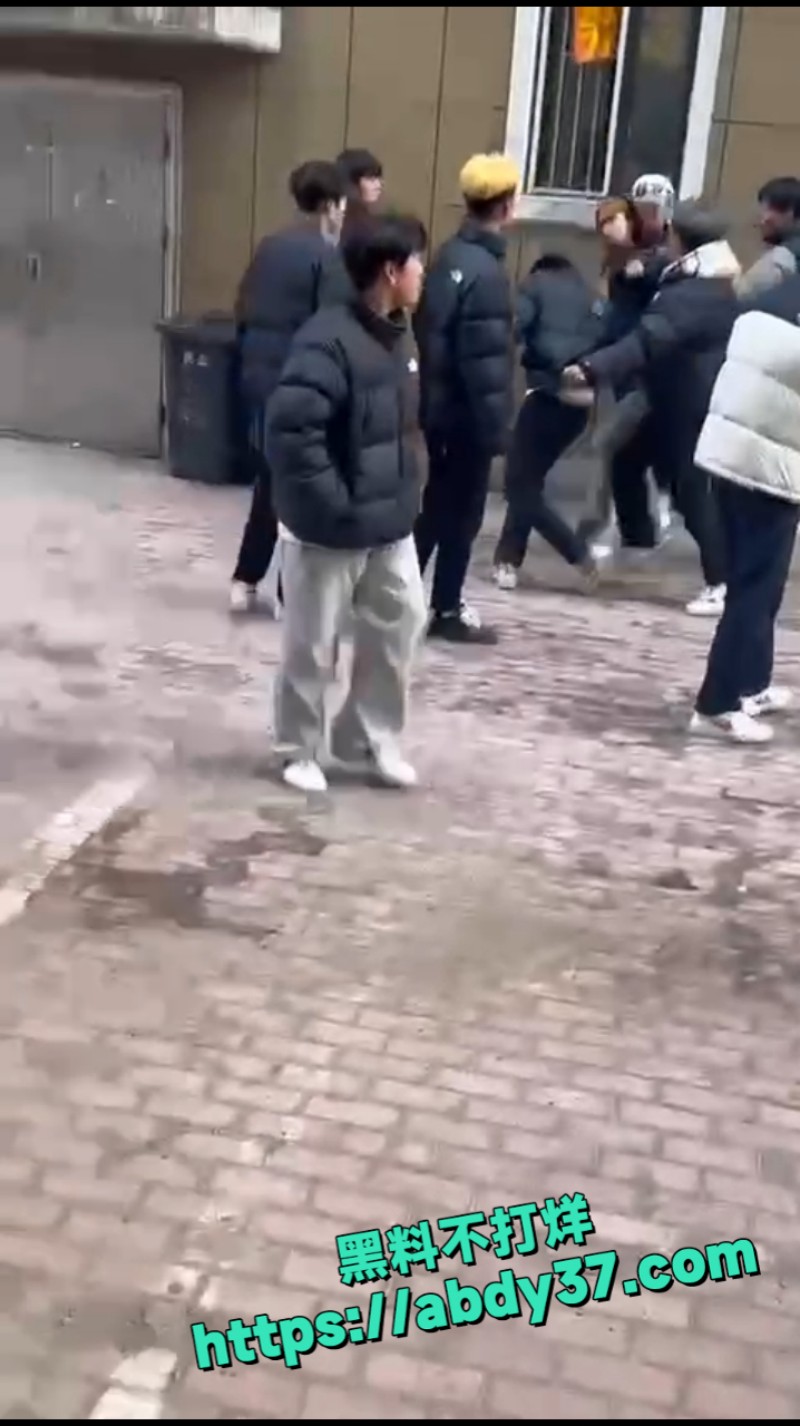 山东街头斗殴倒地爆头  9
