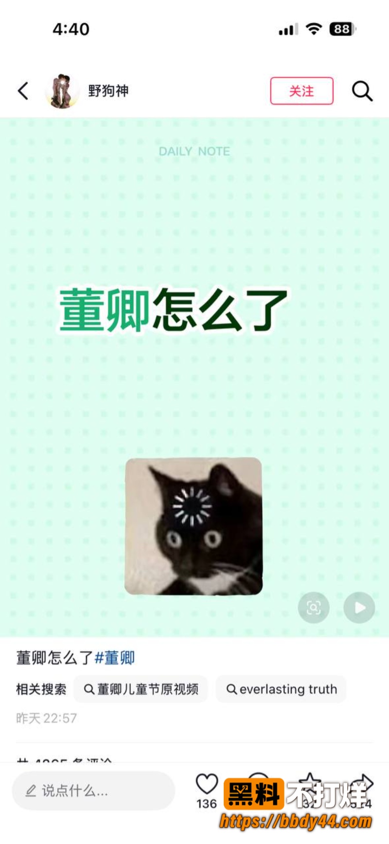 董卿周涛百合花开4