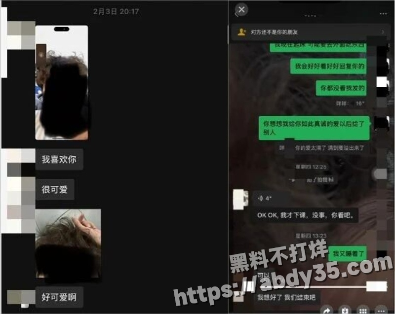 澳洲留学生陈某某脚踏两船捞金实录27