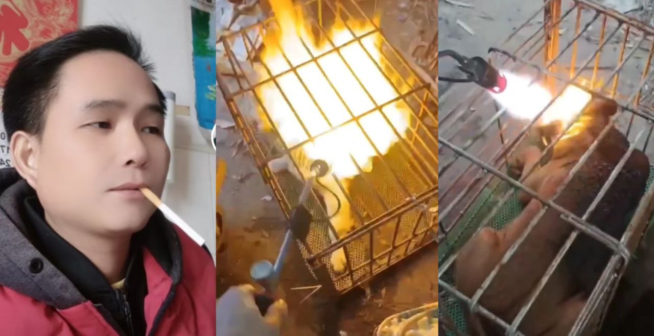 抖音网红 雄记鸡鸭鹅 心理变态喷火烧狗 狗狗的惨叫声让人心痛