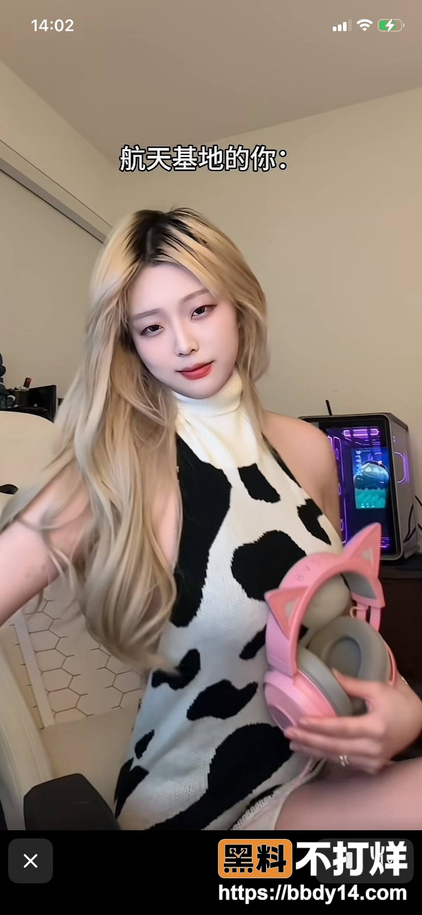 肉肉小野猫6