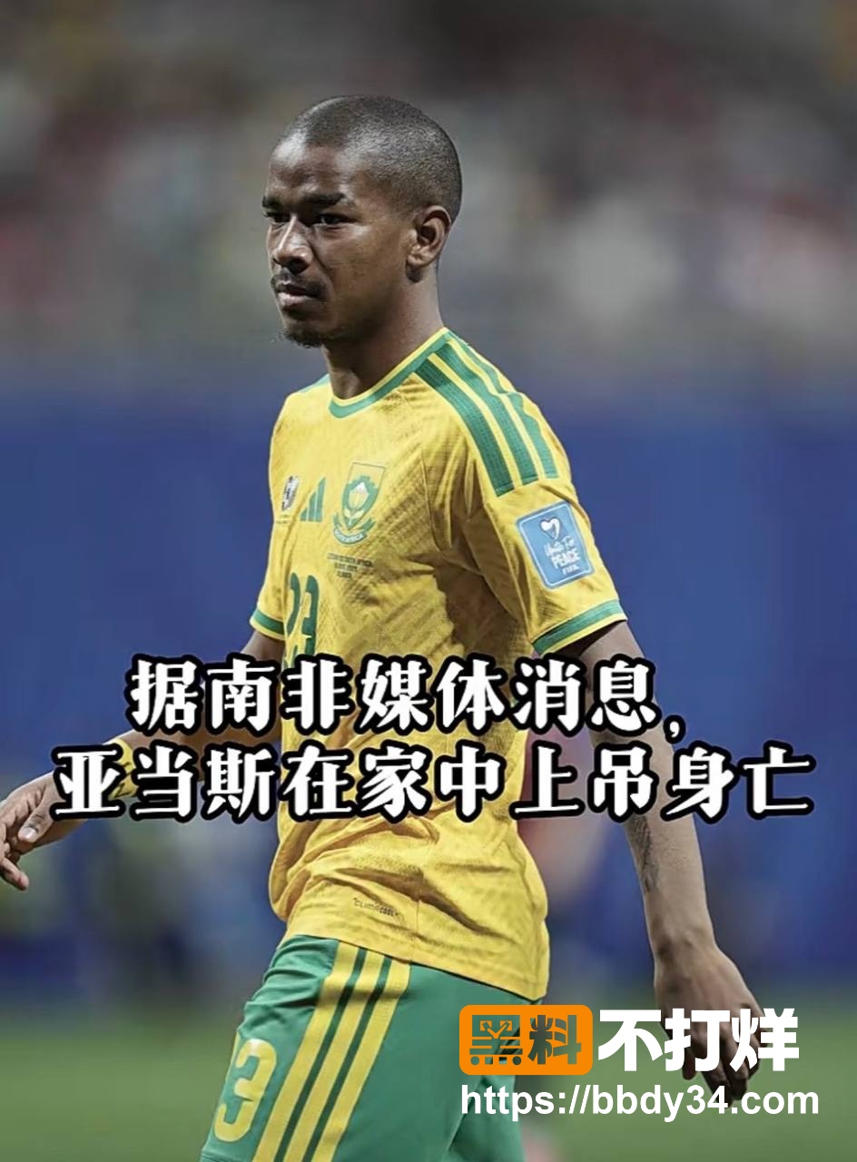 亚当斯2